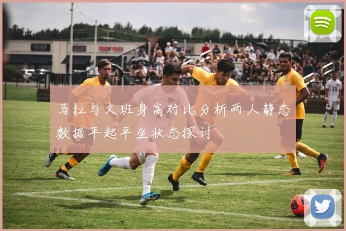 马拉与文班身高对比分析两人静态数据平起平坐状态探讨