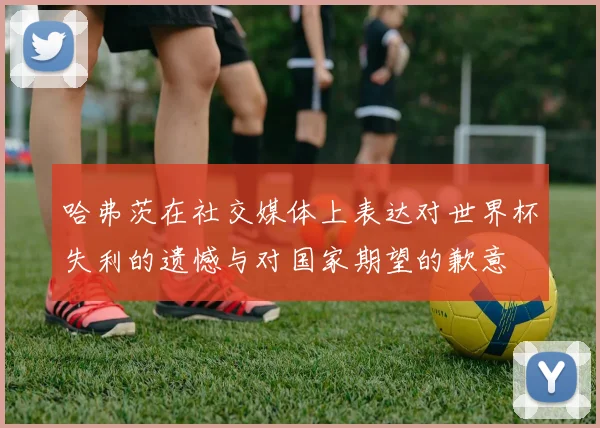 哈弗茨在社交媒体上表达对世界杯失利的遗憾与对国家期望的歉意