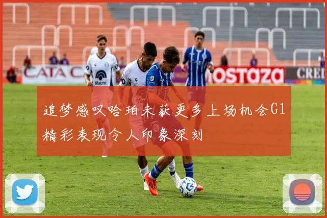 追梦感叹哈珀未获更多上场机会G1精彩表现令人印象深刻